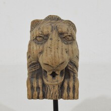 Small carved oak lion fragment, France circa 1650-1750