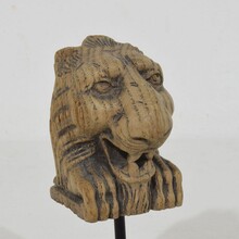 Small carved oak lion fragment, France circa 1650-1750