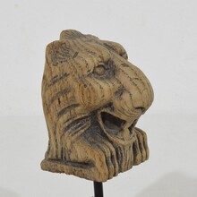 Small carved oak lion fragment, France circa 1650-1750