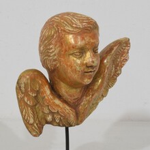 Small baroque carved giltwood angel head on wings, France circa 1750