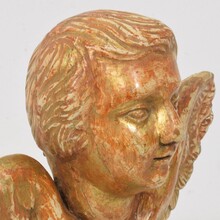 Small baroque carved giltwood angel head on wings, France circa 1750