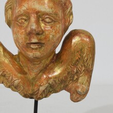 Small baroque carved giltwood angelhead on wings, France circa 1750