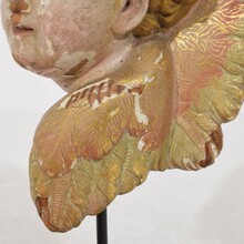 Hand carved winged angel head, Spain circa 1900-1920