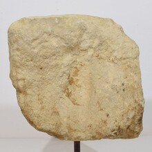 Medieval carved stone fragment depicting a dragon/ mythical figure, Spain circa 1250-1450