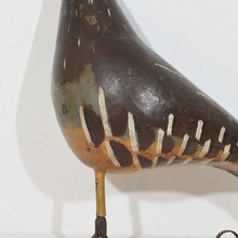 Unique shop sign with a grouse, France circa 1850-1900